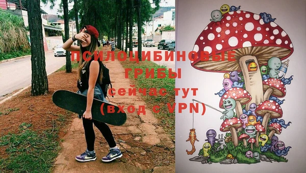 ПСИЛОЦИБИНОВЫЕ ГРИБЫ Алексеевка