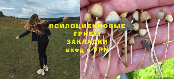 эйфоретик Алексин