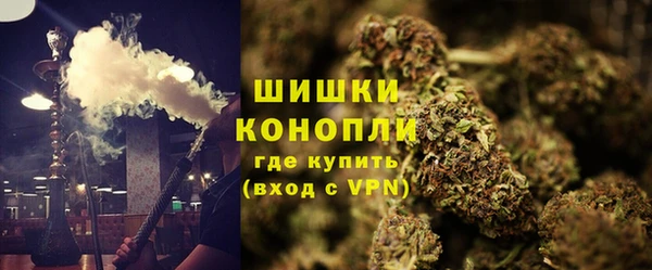 ПСИЛОЦИБИНОВЫЕ ГРИБЫ Алексеевка